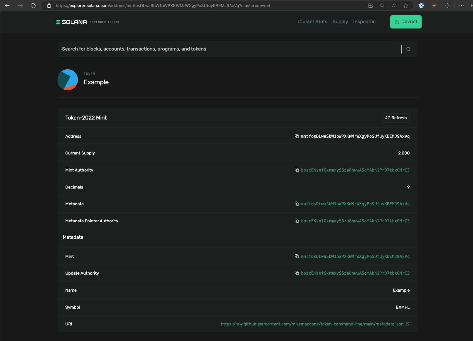 Token with metadata